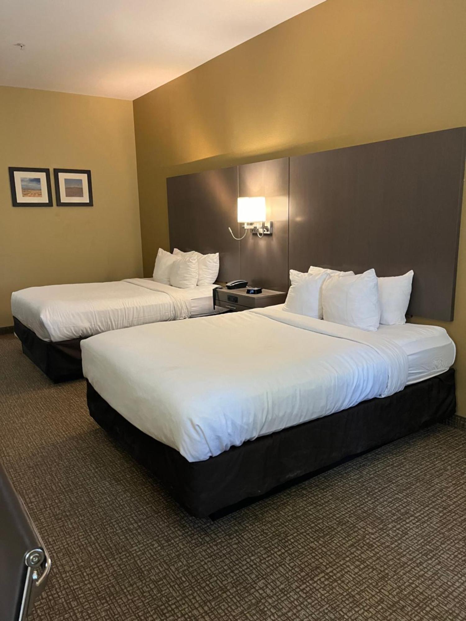 Comfort Inn & Suites Monahans I-20 Εξωτερικό φωτογραφία